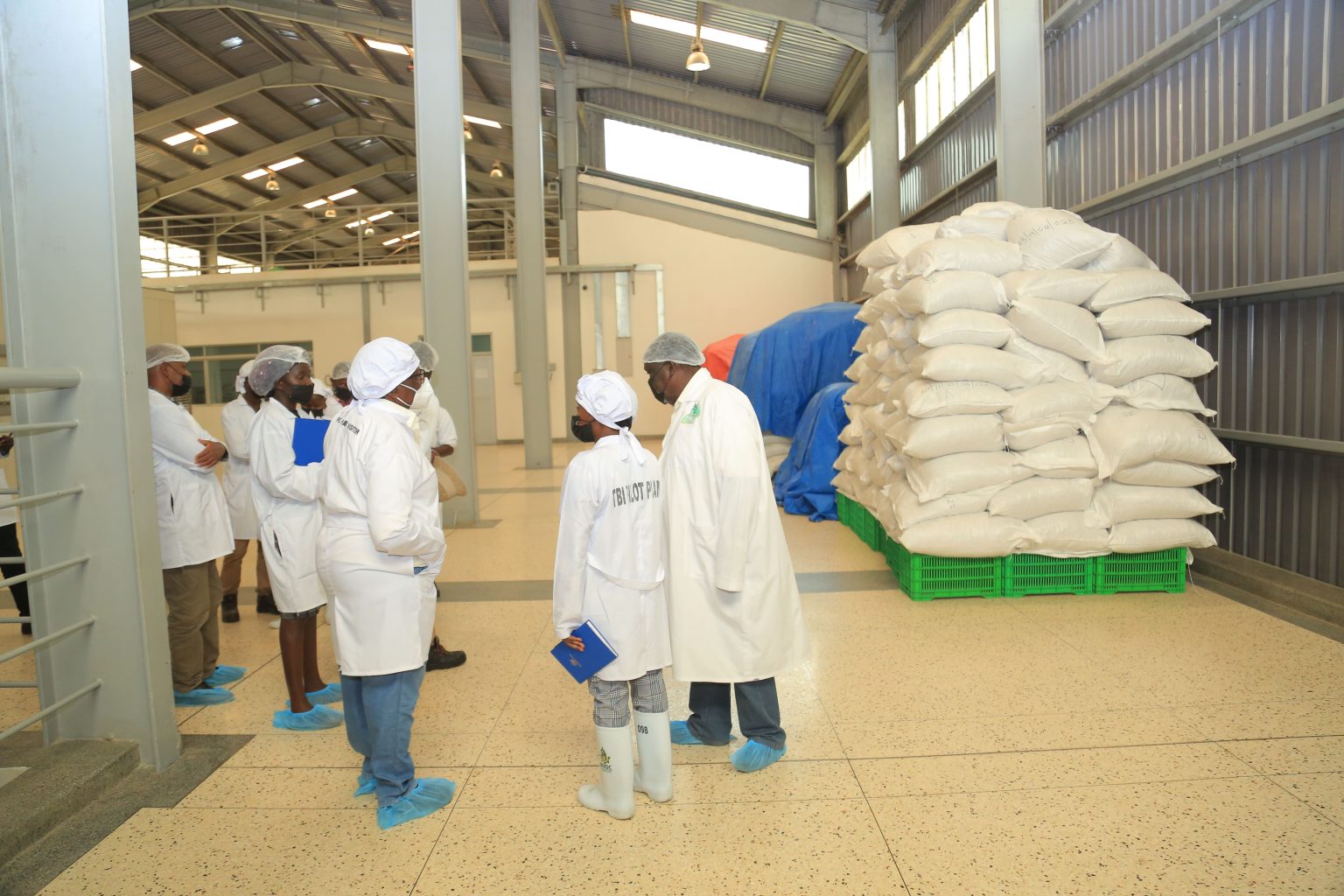 Knowledge at Your Fingertips