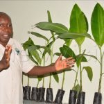 Dr Alex Barekye, the Program Leader National Banana Research Program explains about new variety of banana plants at National Agriculture Research Organisation